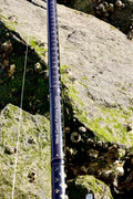 WCFS Rod Ruler