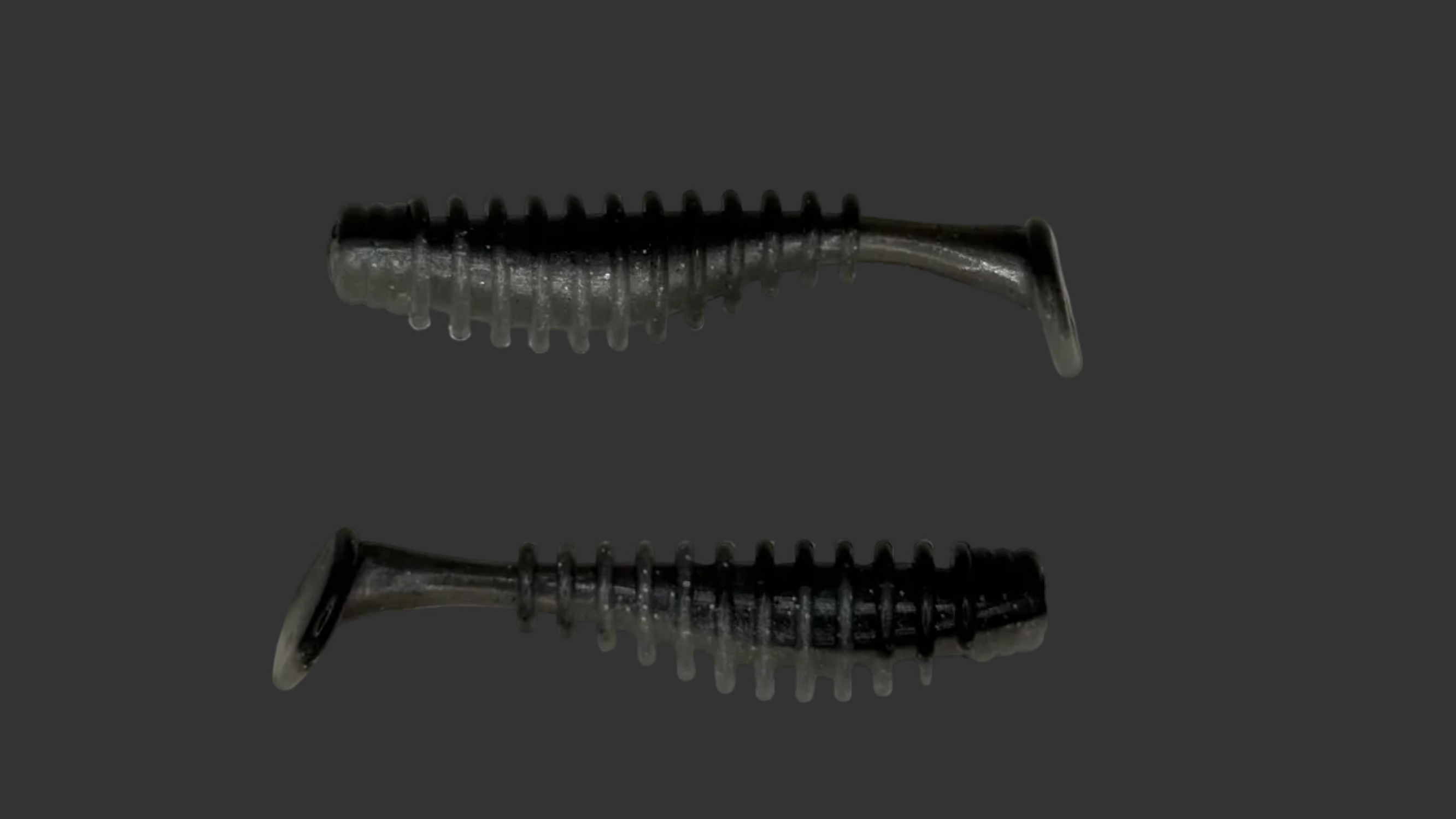 HD Baits Ribbed Battle Tail
