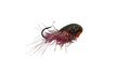 Topnotch SoftShell Sandcrab Jig