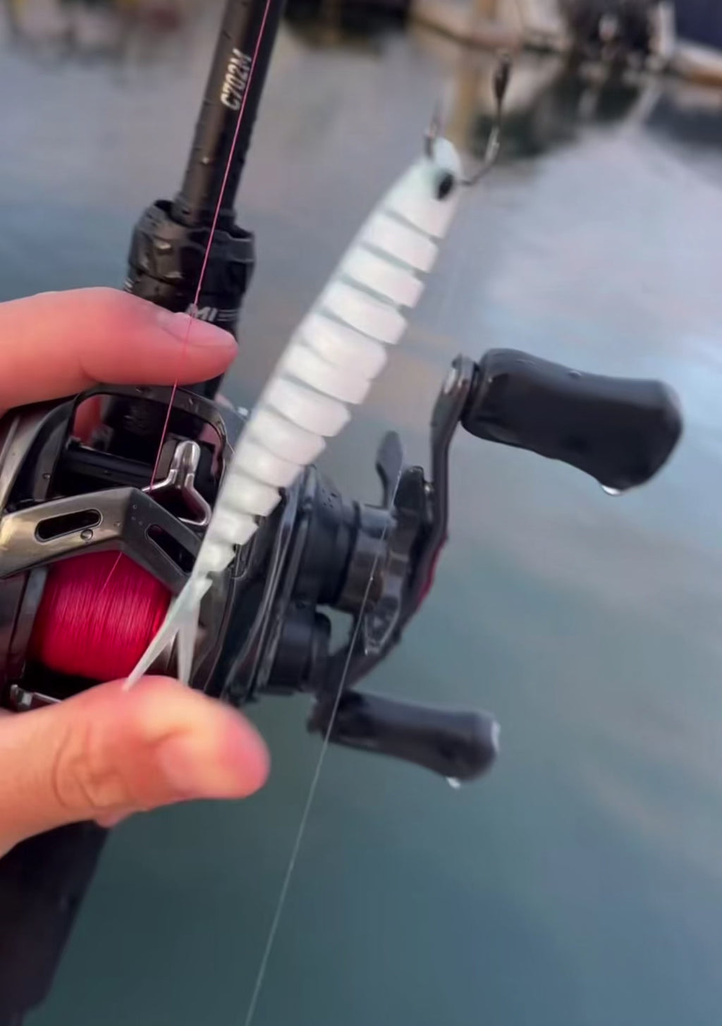 Cactus Lures Swim Chovy